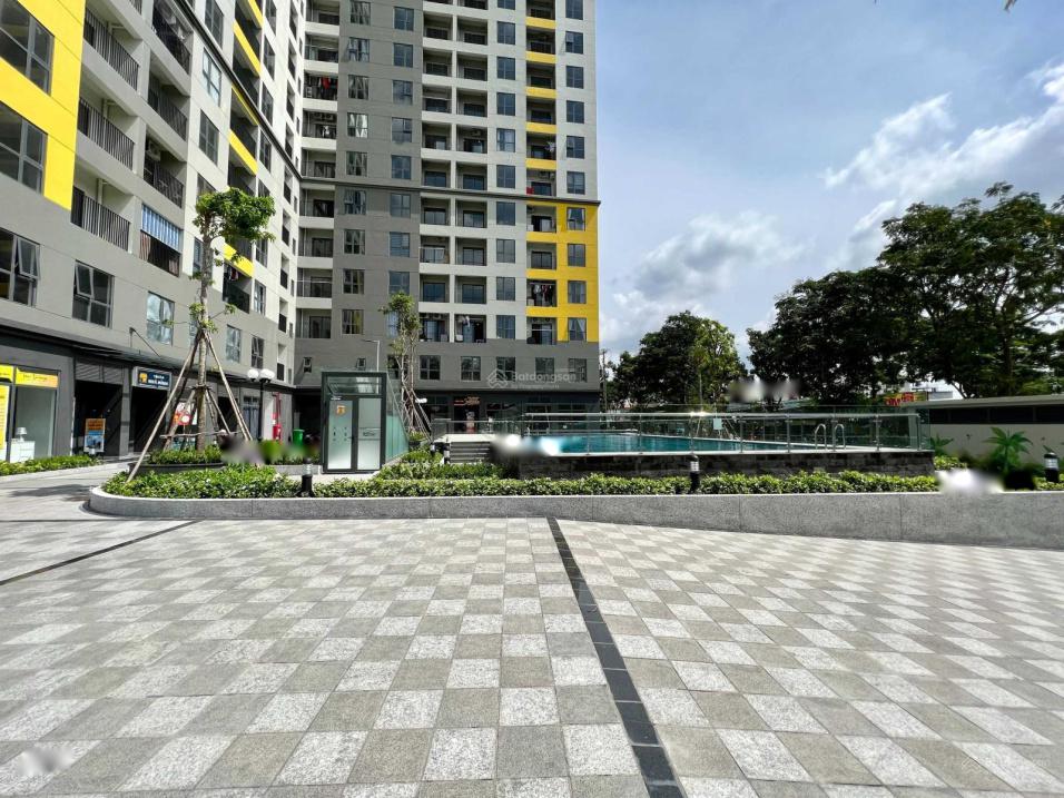 4303148 ảnh đại diện 1