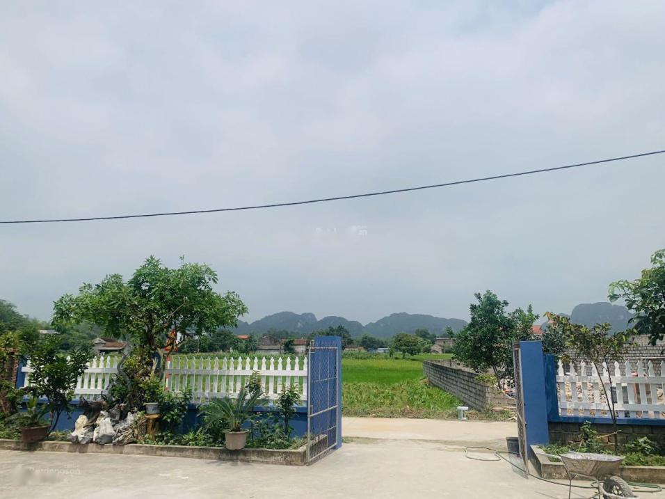 4303290 ảnh đại diện 2