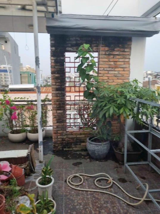 4304172 ảnh đại diện 2