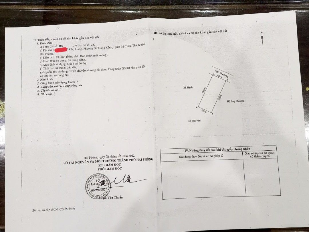 4305766 ảnh đại diện 1