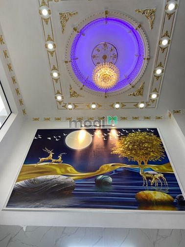 4304184 ảnh đại diện 2