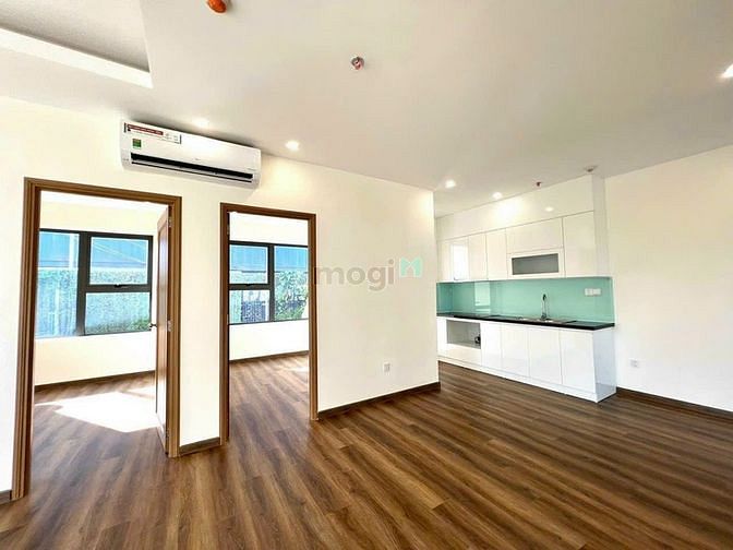 4304684 ảnh đại diện 2