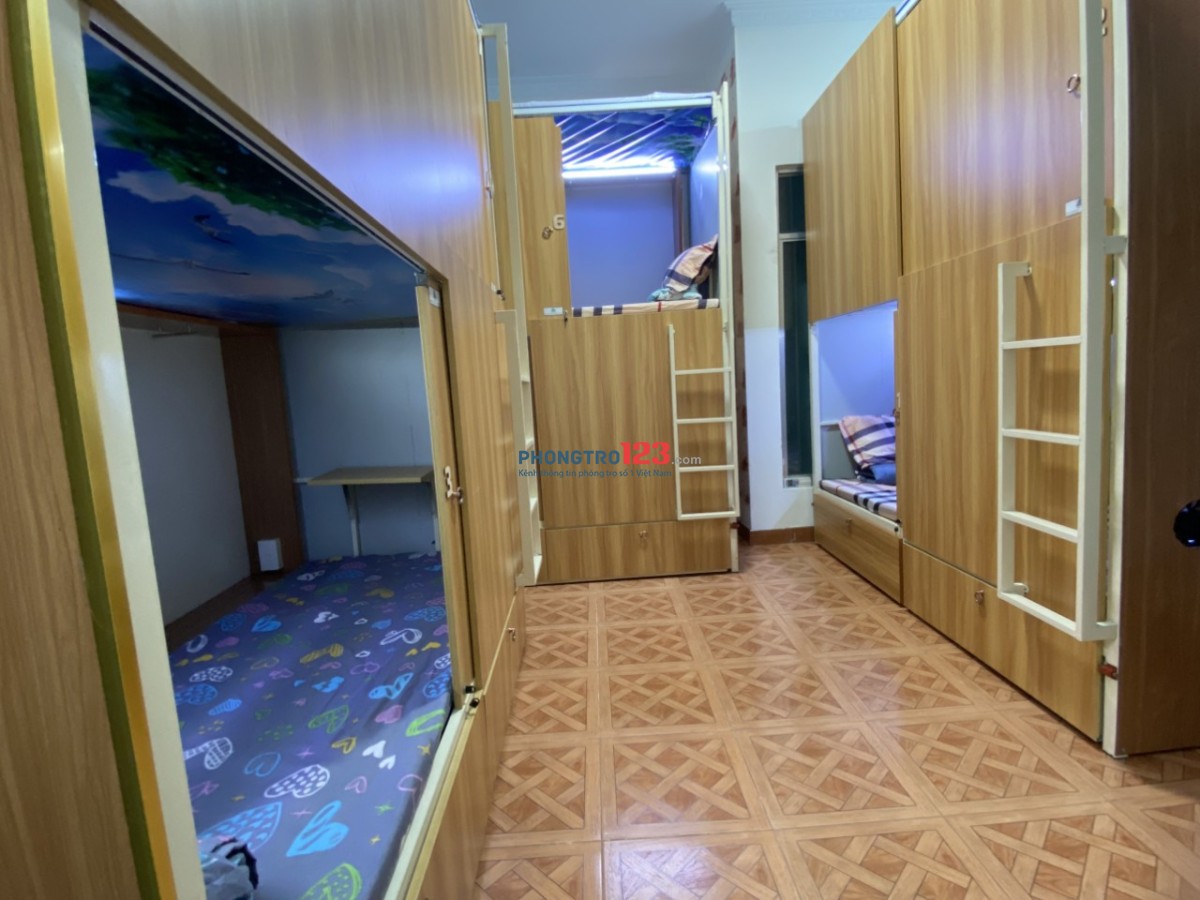 4305711 ảnh đại diện 2
