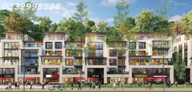 4303562 ảnh đại diện 1