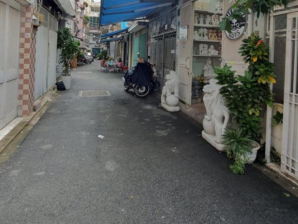 4304215 ảnh đại diện 1