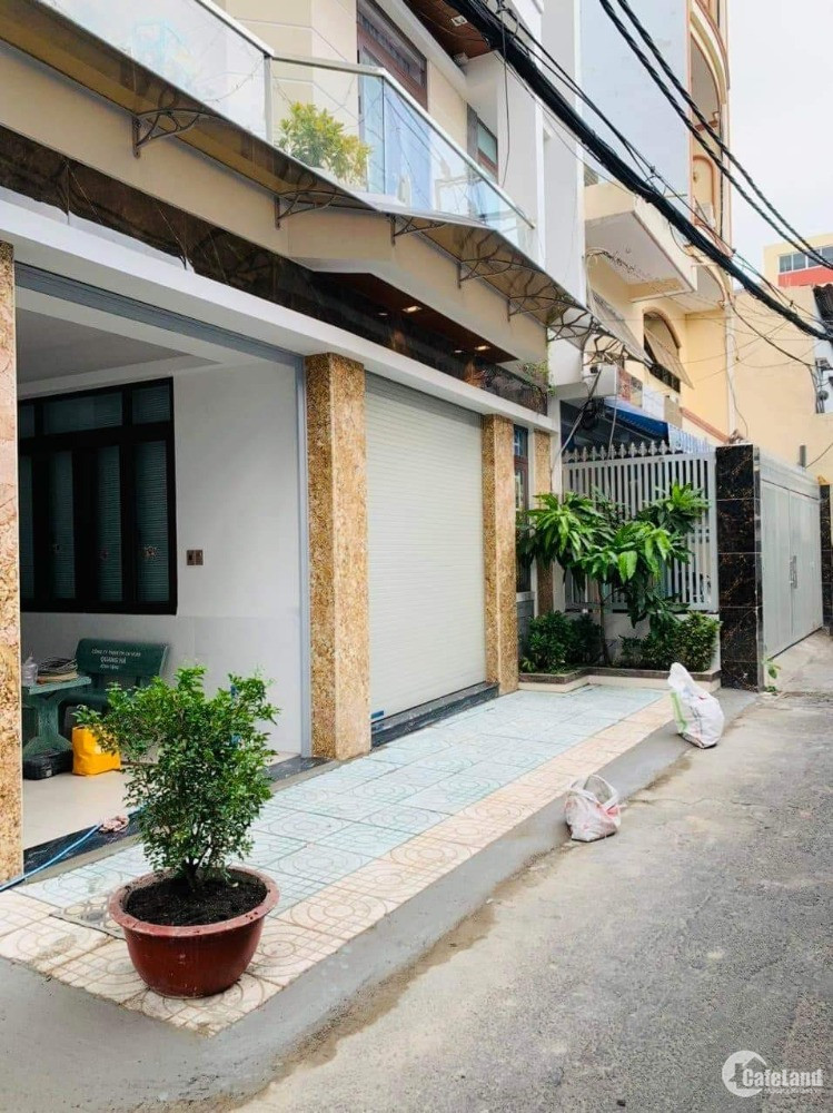 4303243 ảnh đại diện 2