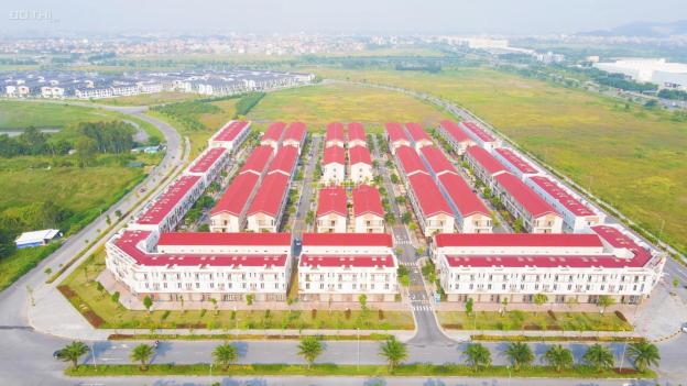 4305803 ảnh đại diện 1