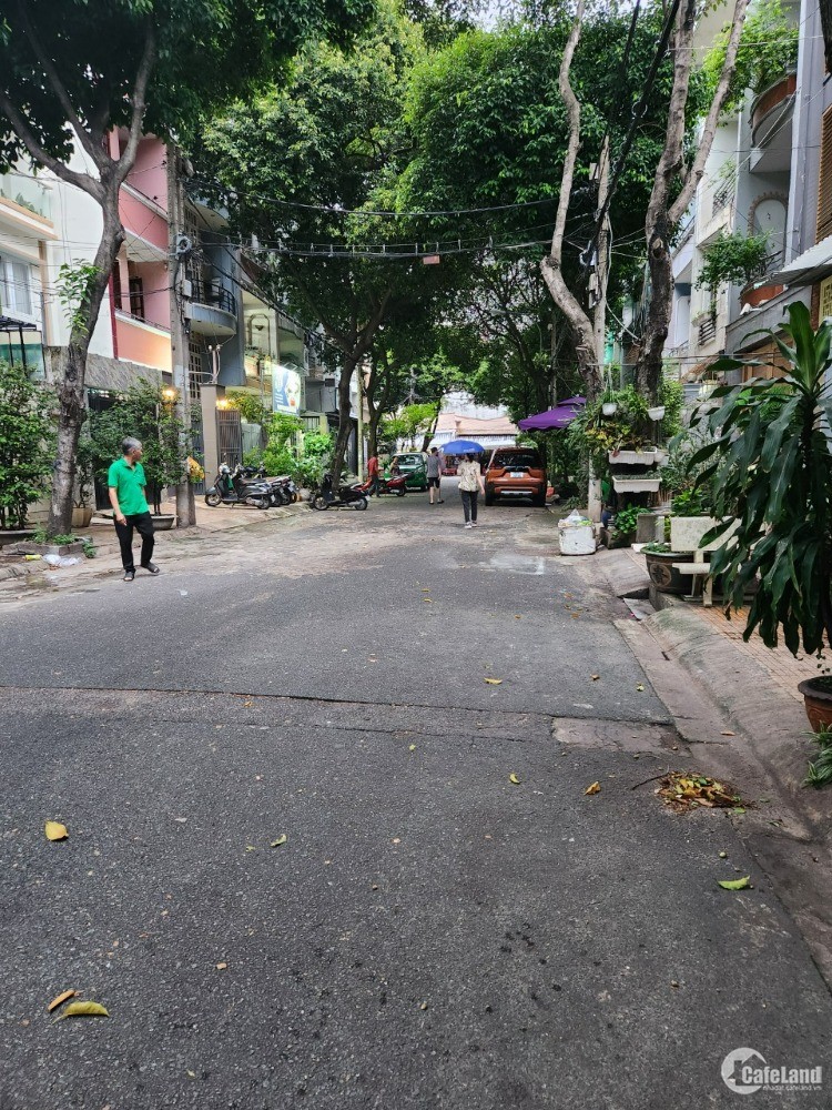 4303055 ảnh đại diện 1