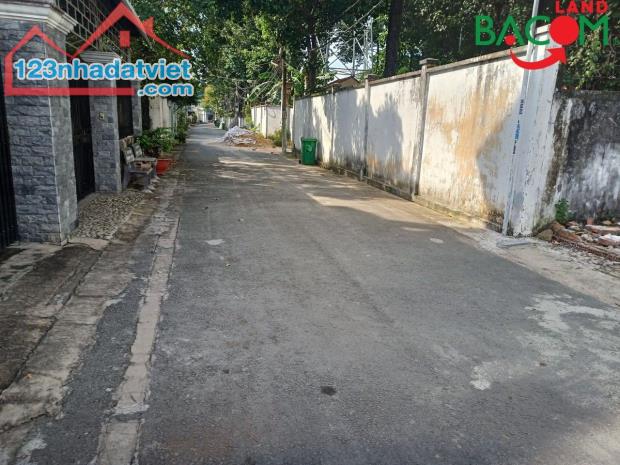 4303125 ảnh đại diện 1