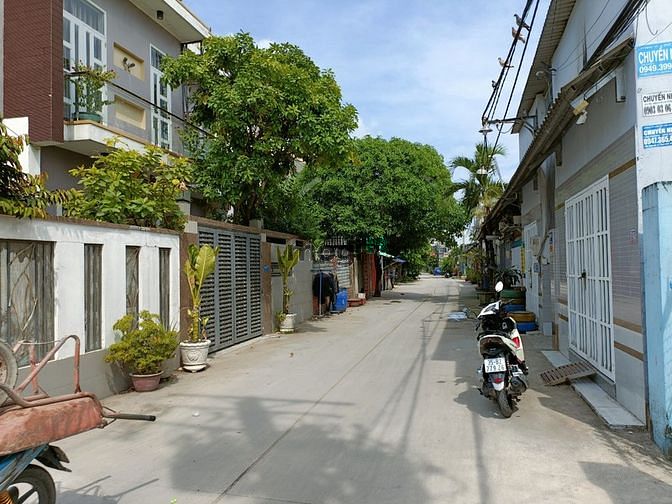 4304369 ảnh đại diện 1