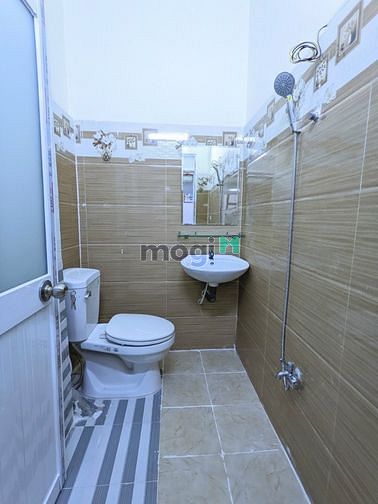 4304584 ảnh đại diện 2