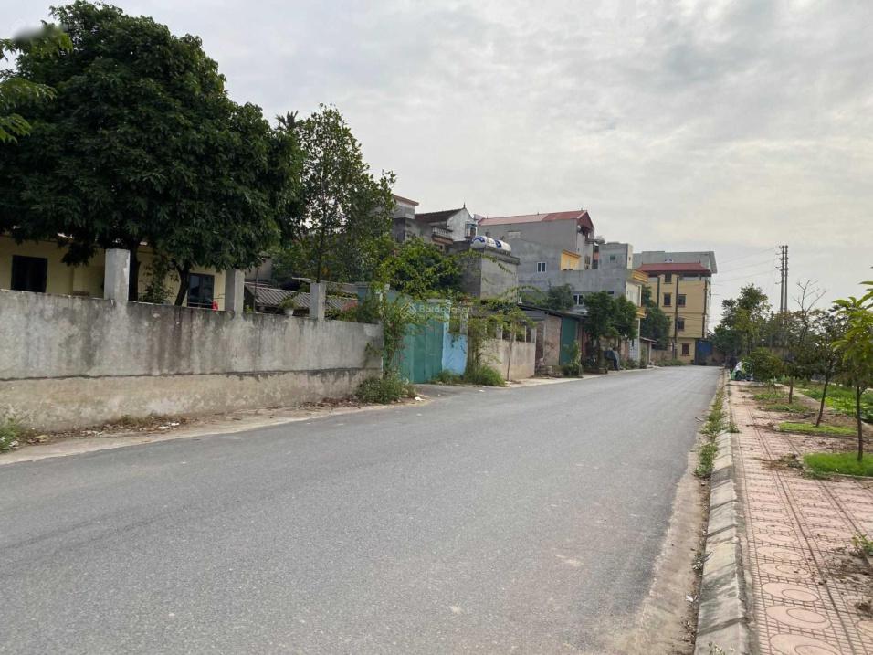 4305979 ảnh đại diện 1