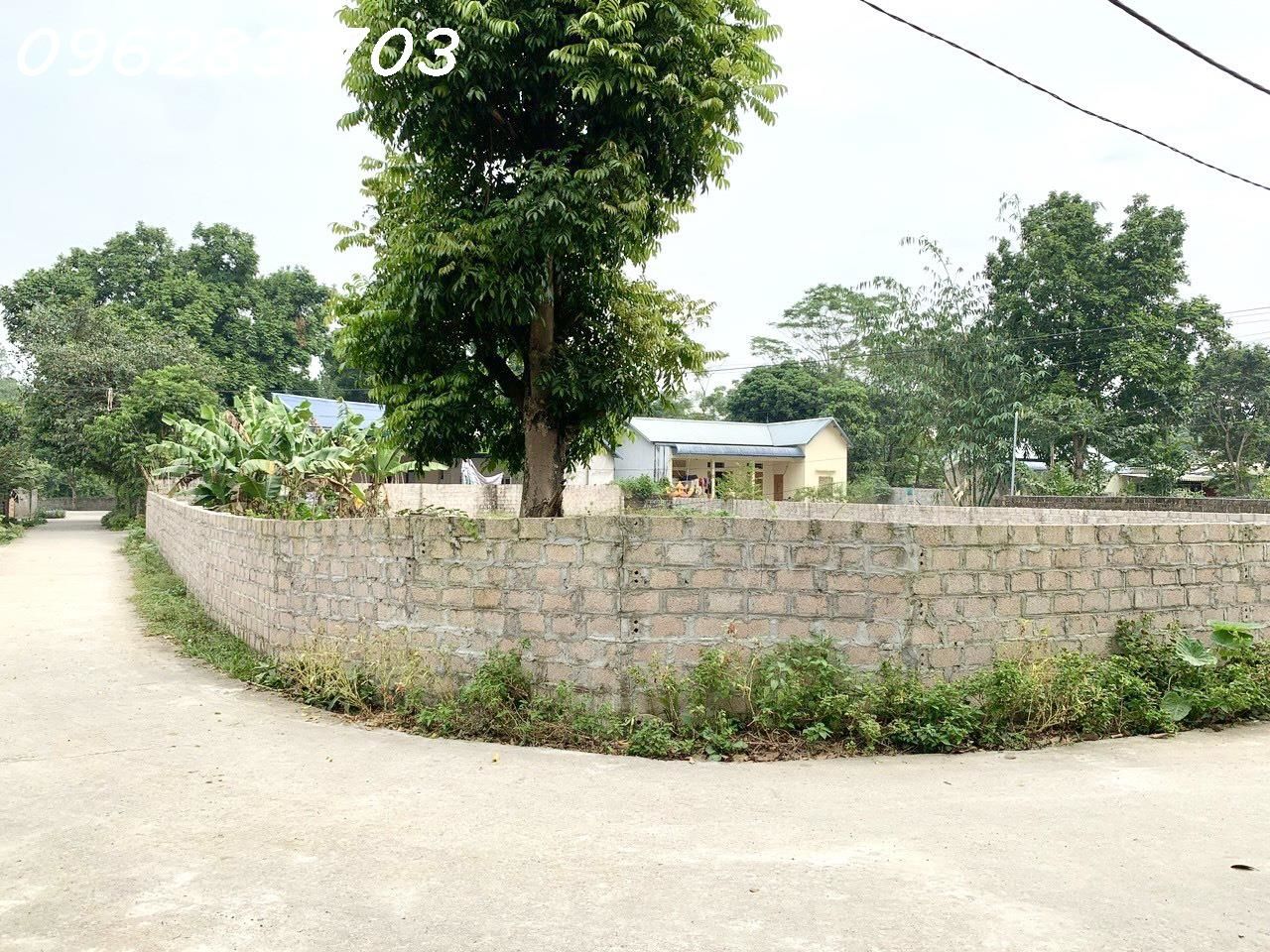 4304005 ảnh đại diện 2