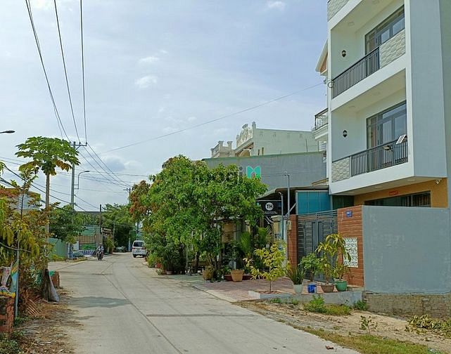 4304369 ảnh đại diện 1