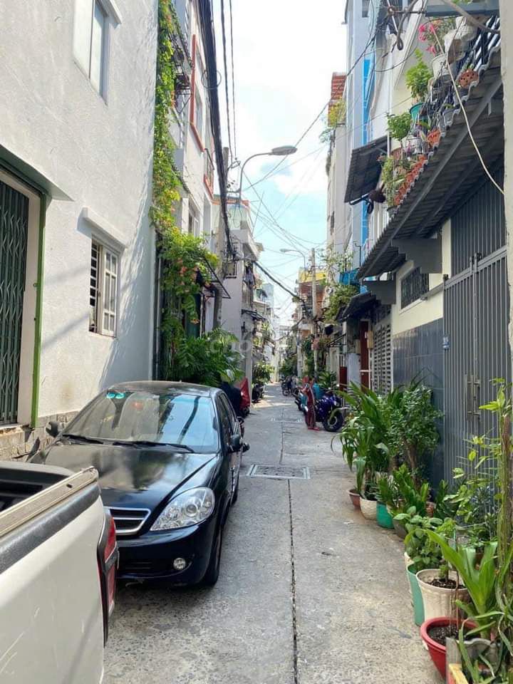 4304452 ảnh đại diện 1