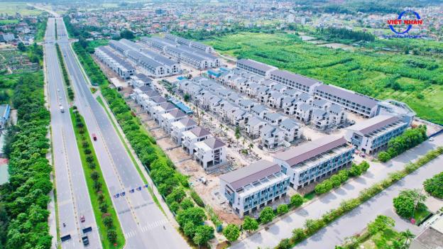4305805 ảnh đại diện 1
