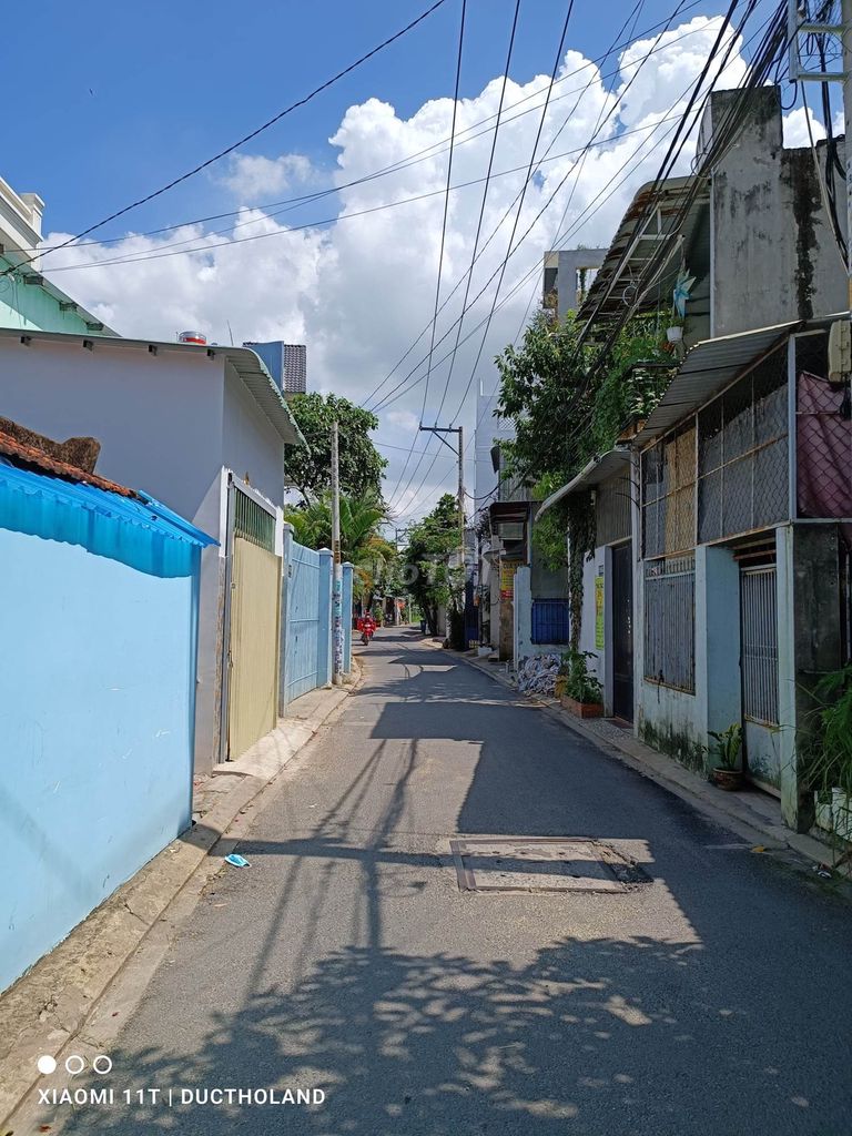 4305190 ảnh đại diện 1