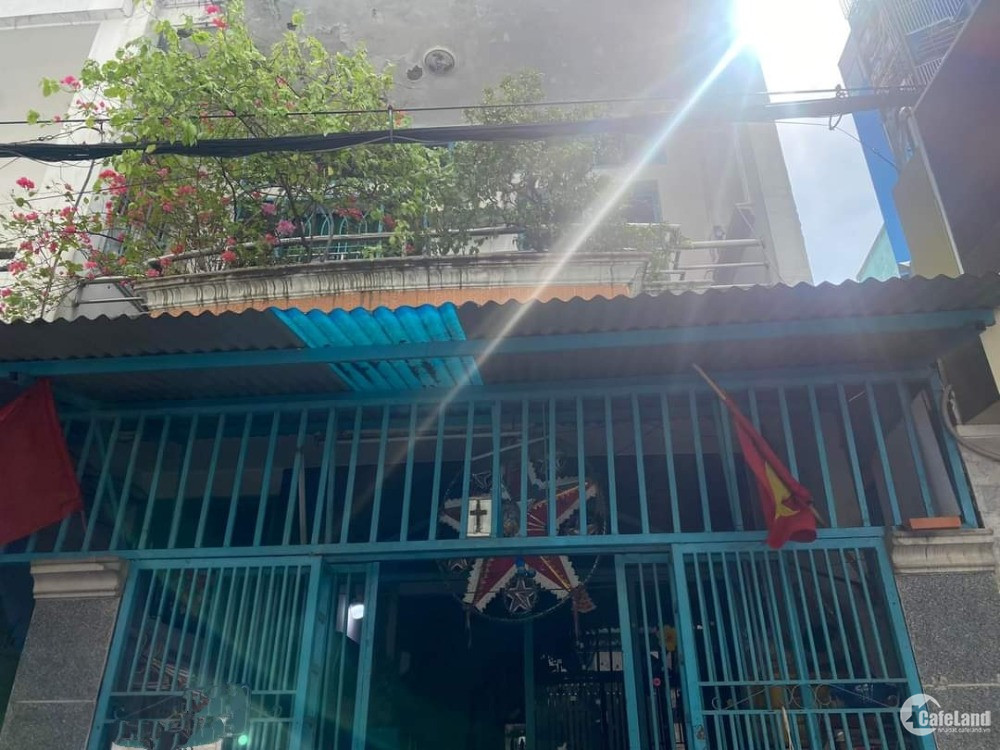 4303237 ảnh đại diện 1