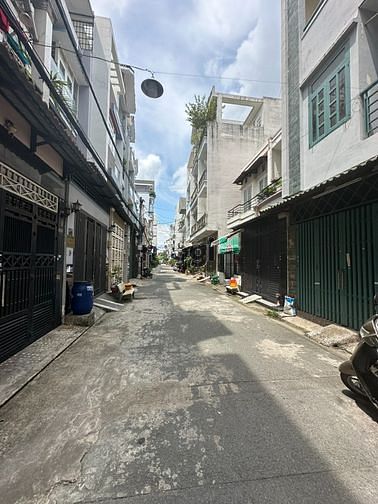 4303277 ảnh đại diện 1