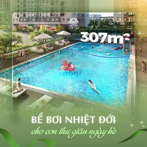 4304686 ảnh đại diện 2