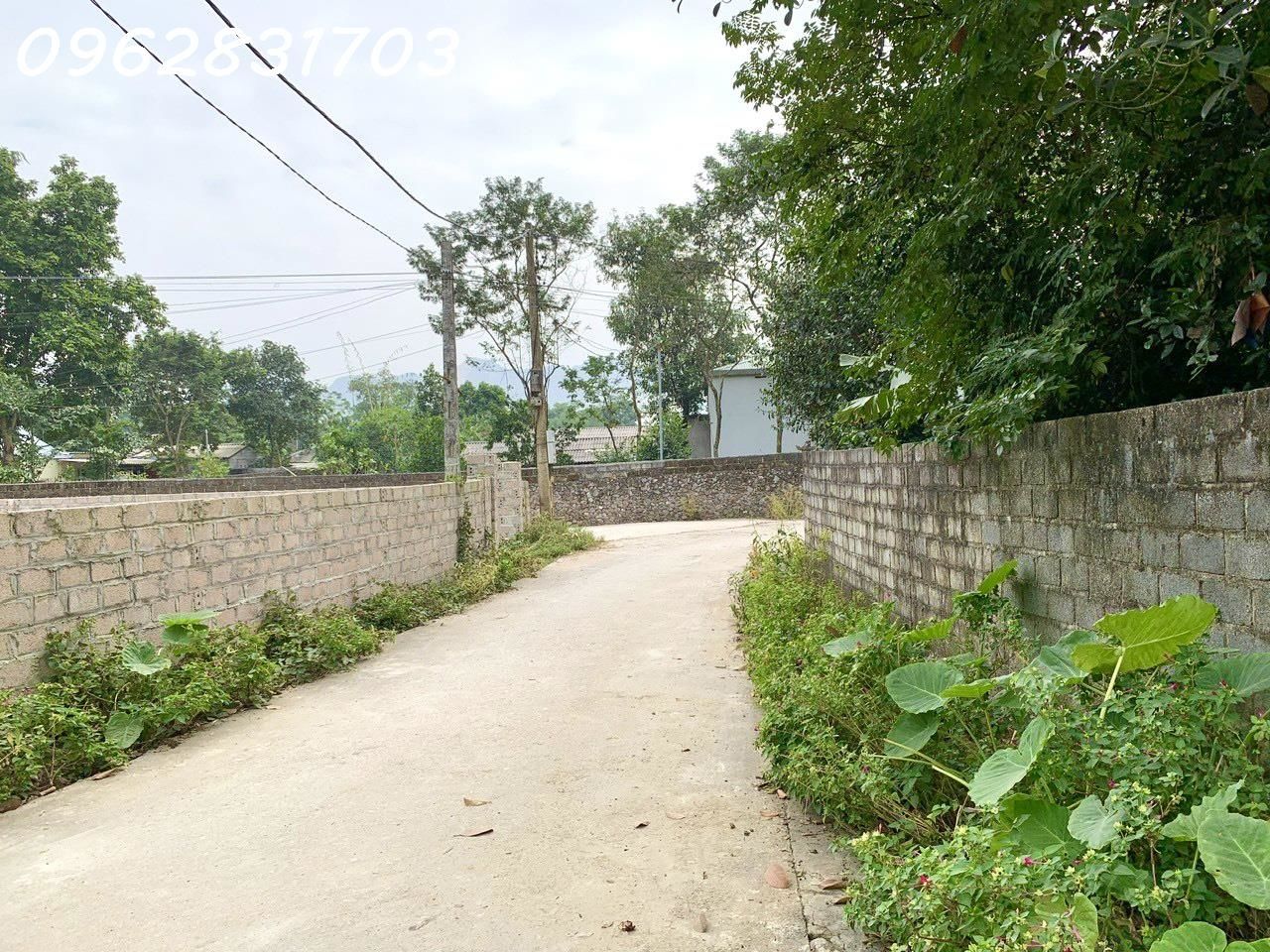 4304005 ảnh đại diện 1