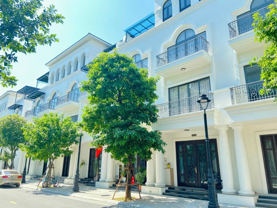 4305763 ảnh đại diện 1