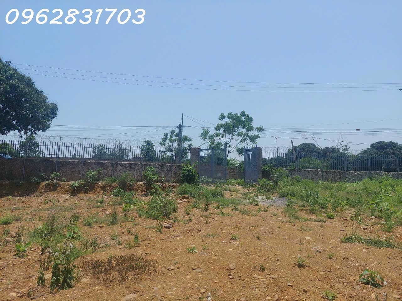 4303956 ảnh đại diện 1