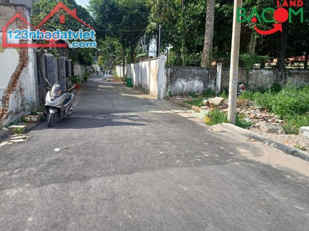 4303125 ảnh đại diện 2
