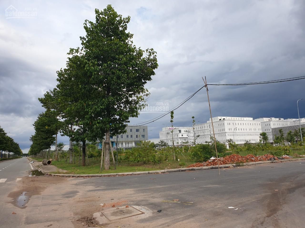 4304066 ảnh đại diện 1