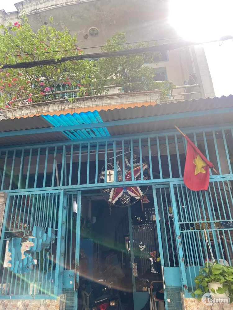 4303237 ảnh đại diện 1