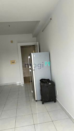 4304416 ảnh đại diện 1