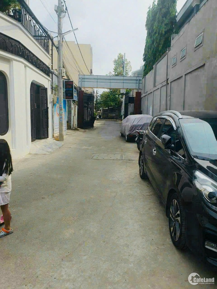 4303370 ảnh đại diện 1