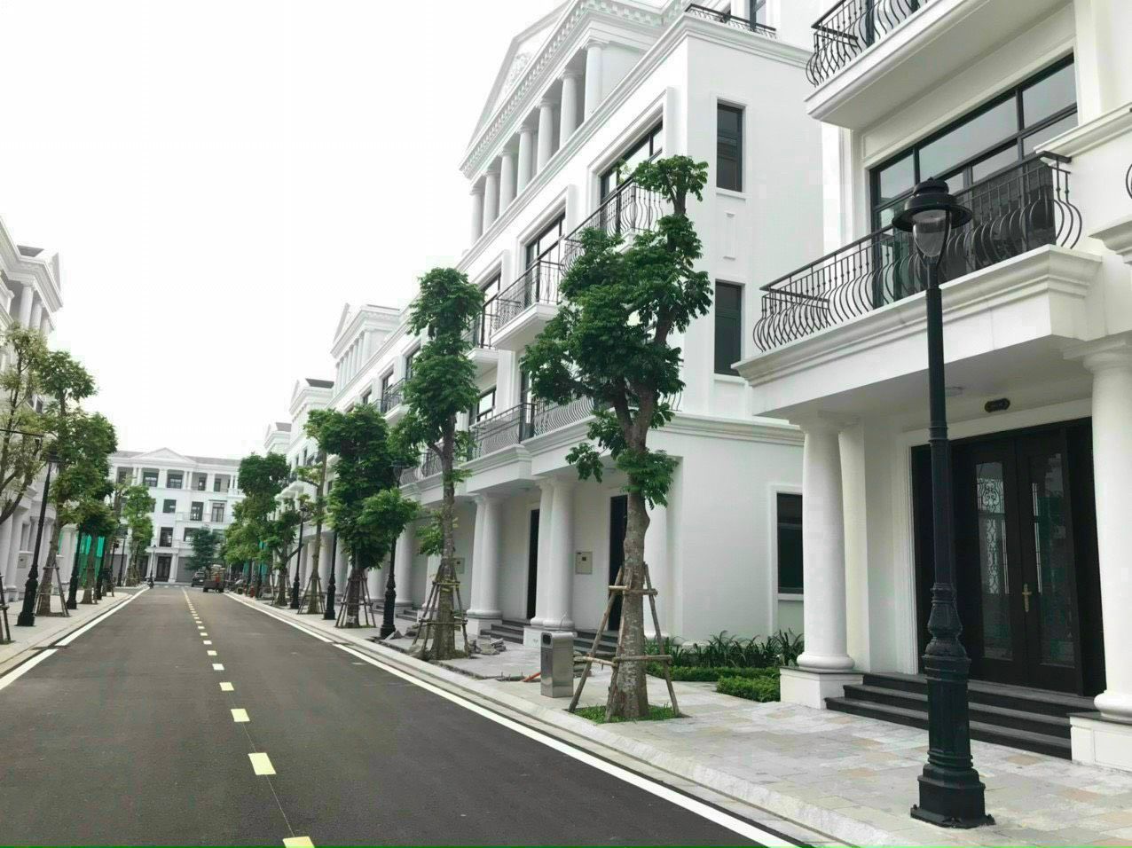4305763 ảnh đại diện 1