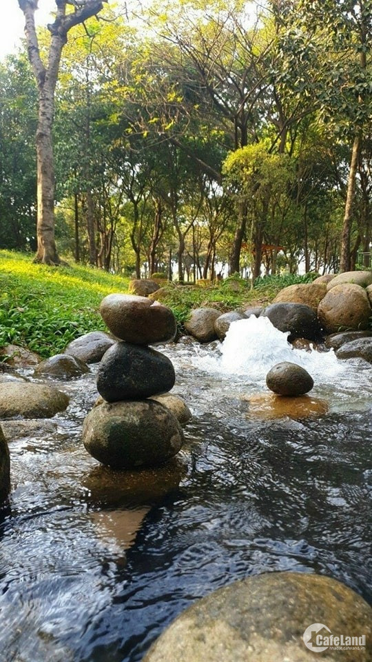 4303178 ảnh đại diện 1