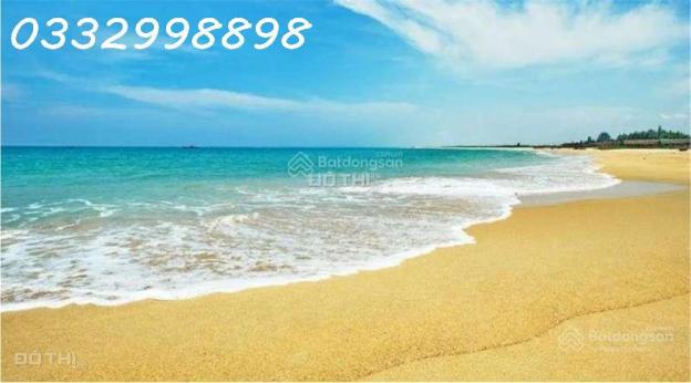 4303562 ảnh đại diện 2