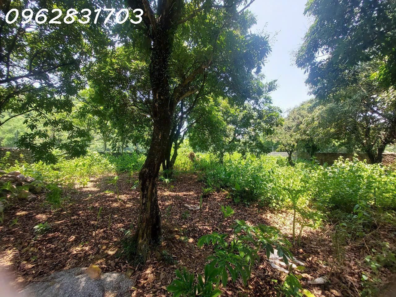 4303956 ảnh đại diện 2