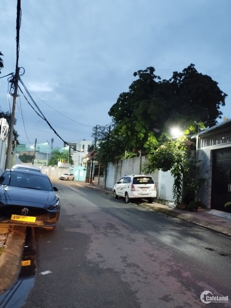 4303839 ảnh đại diện 1
