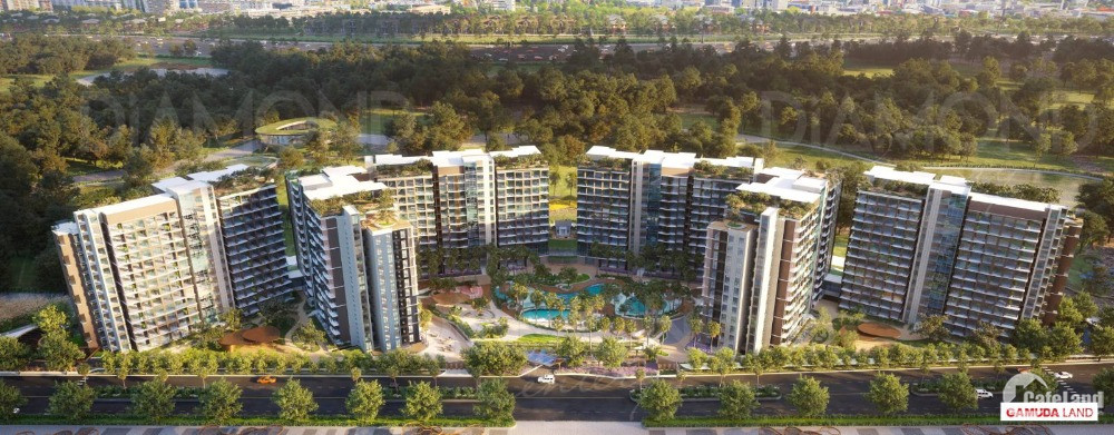 4303185 ảnh đại diện 2