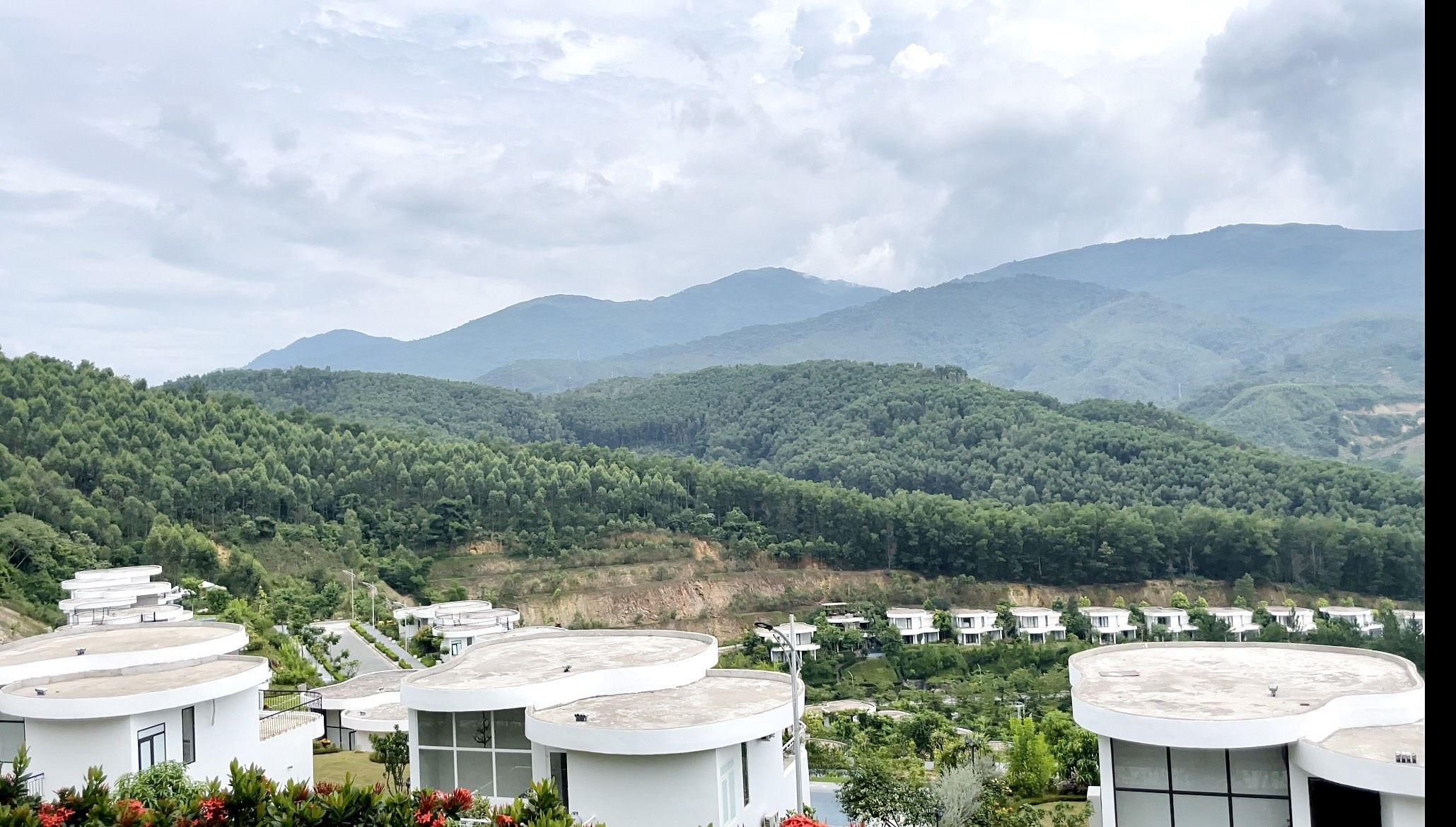 4303892 ảnh đại diện 1