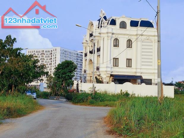 4303121 ảnh đại diện 2