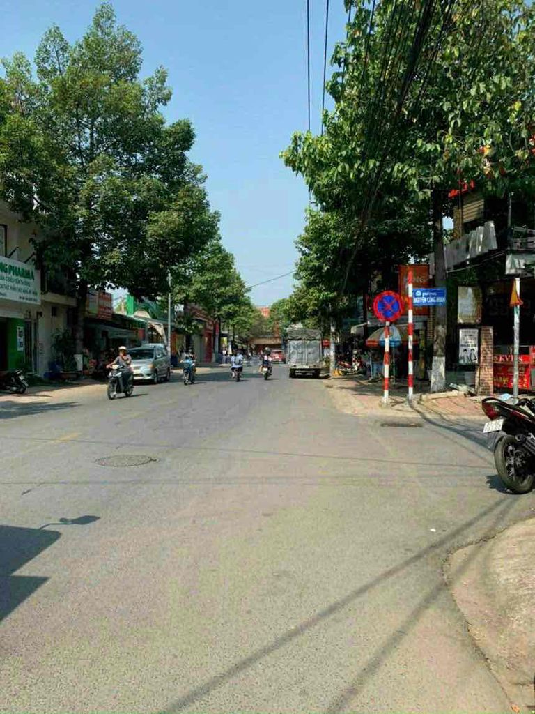 4305149 ảnh đại diện 1