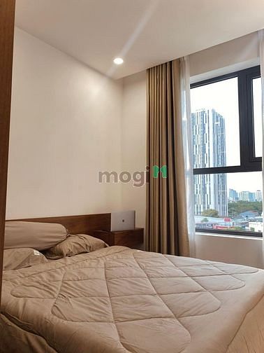 4304037 ảnh đại diện 2