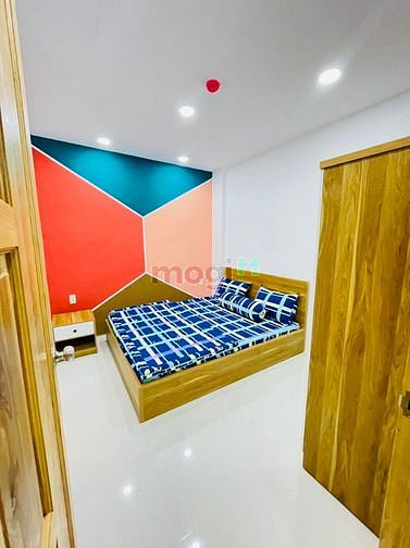 4304136 ảnh đại diện 1