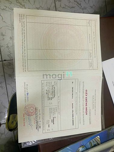 4304328 ảnh đại diện 2