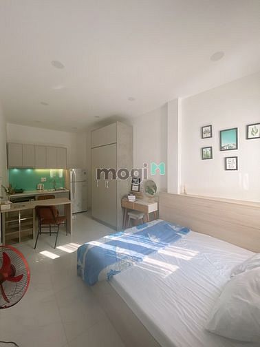4304086 ảnh đại diện 2