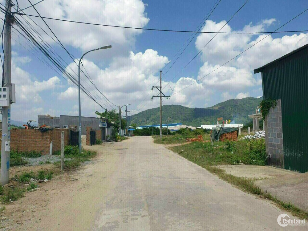 4303626 ảnh đại diện 1
