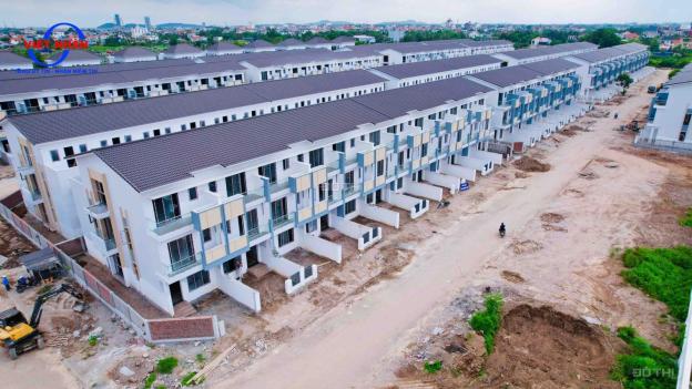 4305808 ảnh đại diện 2