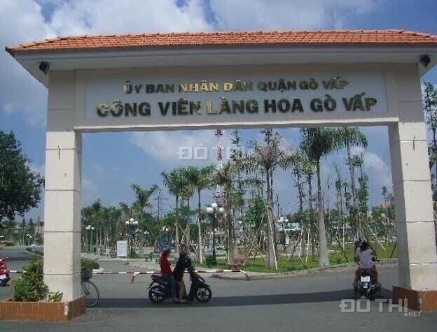 4303779 ảnh đại diện 1