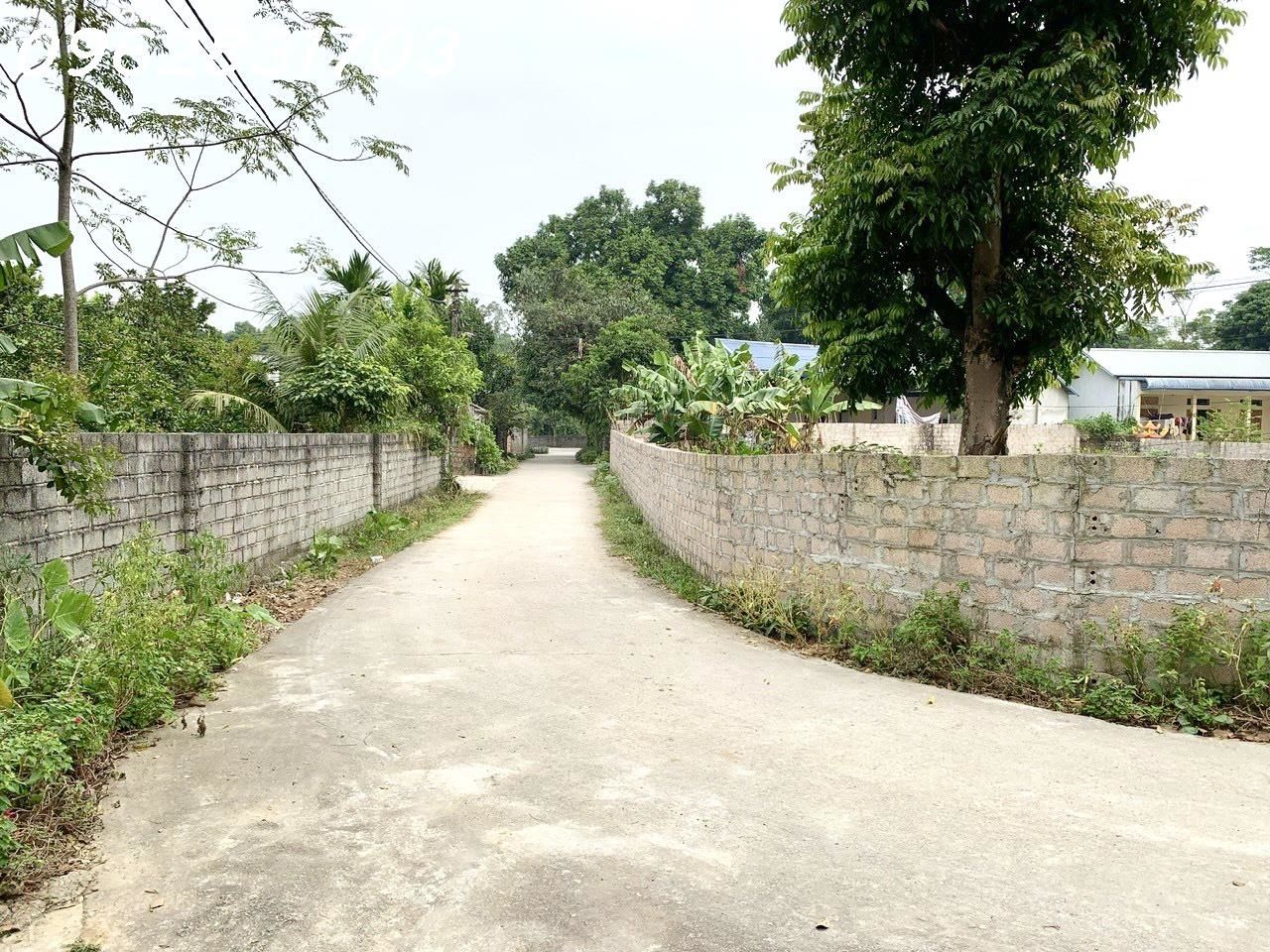 4304005 ảnh đại diện 1
