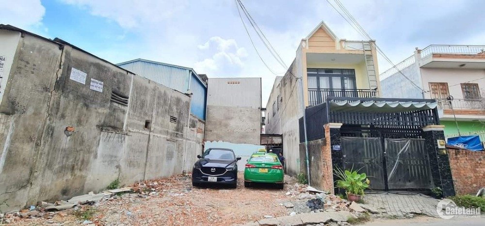 4305738 ảnh đại diện 2